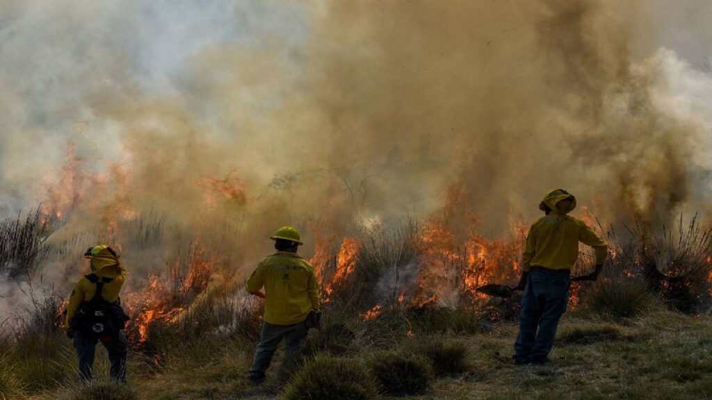Impacto de Quemas Agrícolas en Incendios Forestales en México: Un Llamado a la Conciencia Ambiental